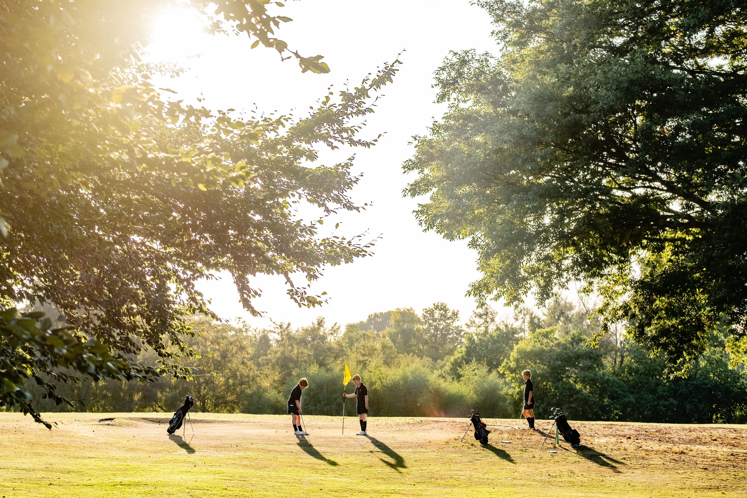 Three people standing on a sunlit golf course, each with a golf bag nearby. They are surrounded by lush greenery and trees with the sun shining through, casting long shadows on the grass.